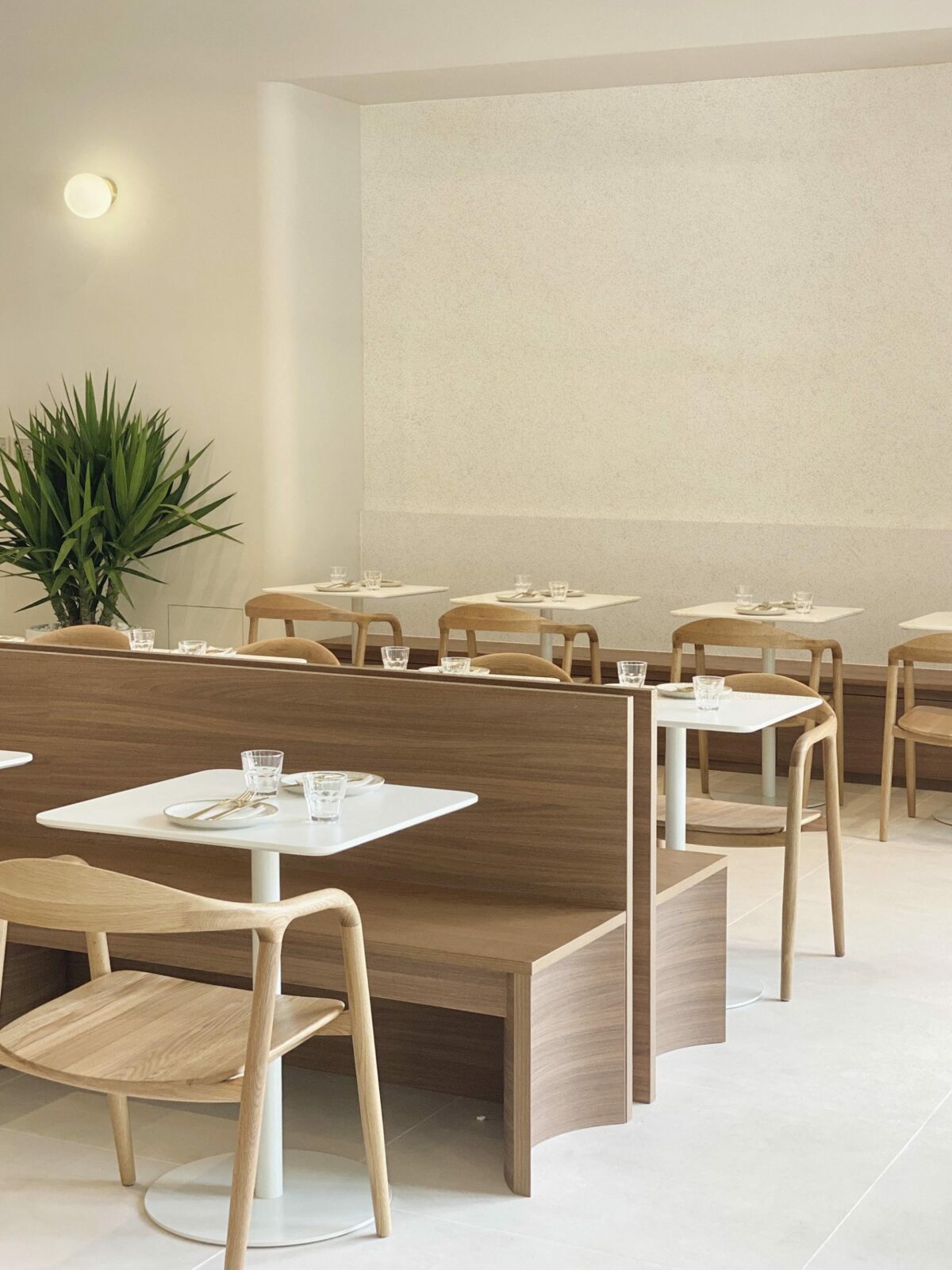 LIttle Cove Espresso II